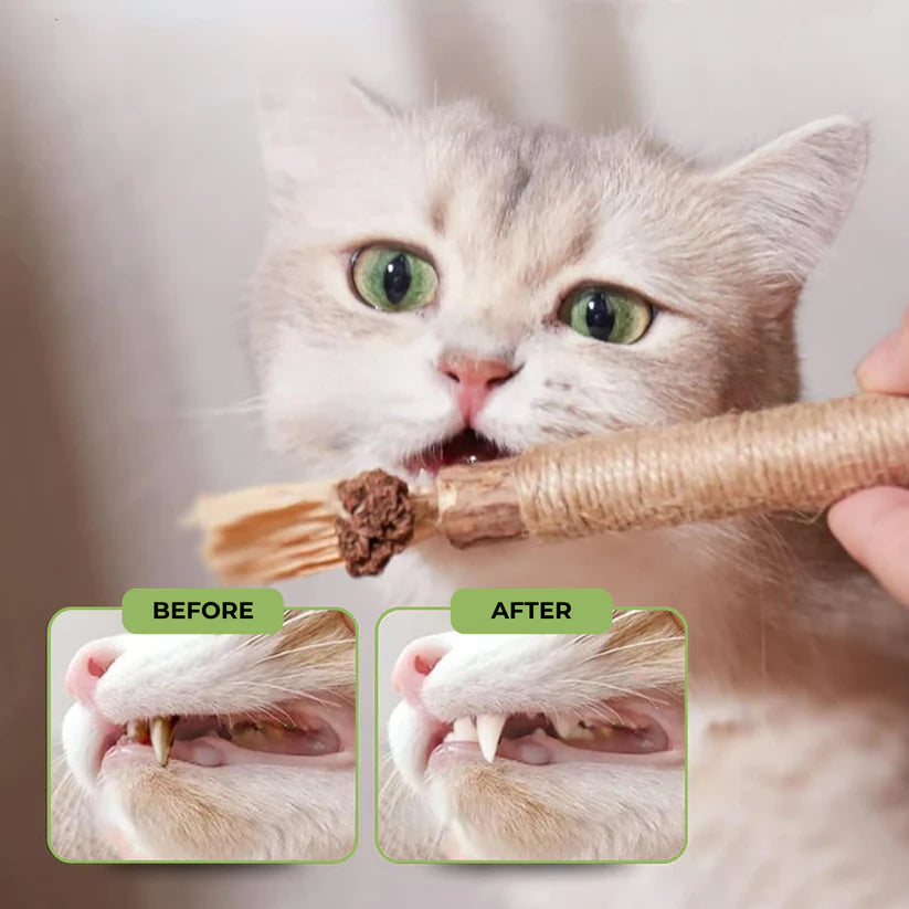 Purralux Natural Silvervine Dental Sticks