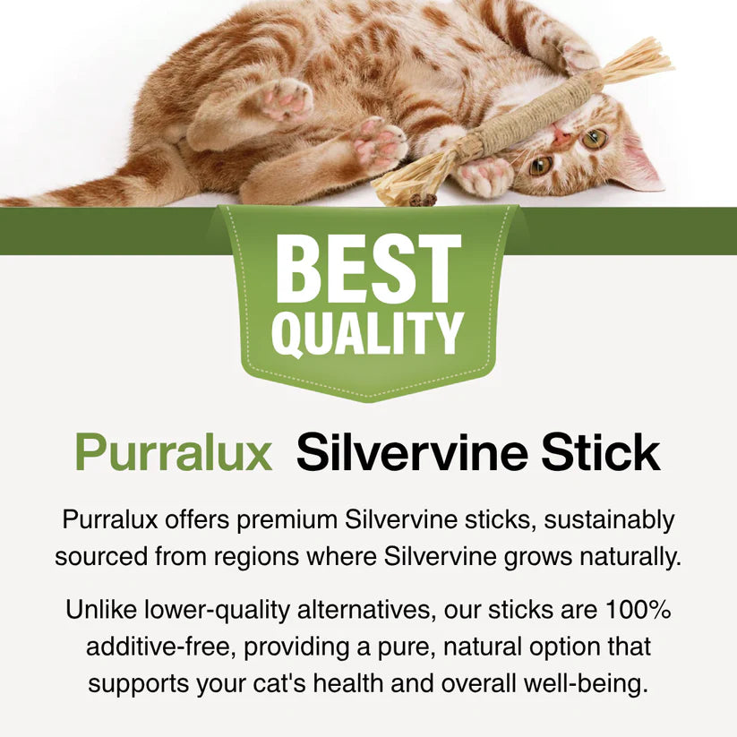 Purralux Natural Silvervine Dental Sticks